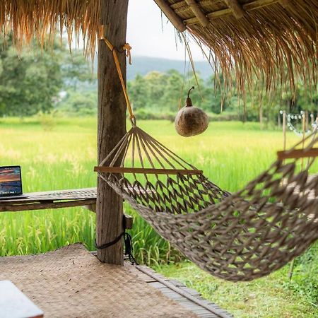 Camp View Mountain - Sell Experience By Paddy Fields Haven - Natures Nest Pai Luaran gambar