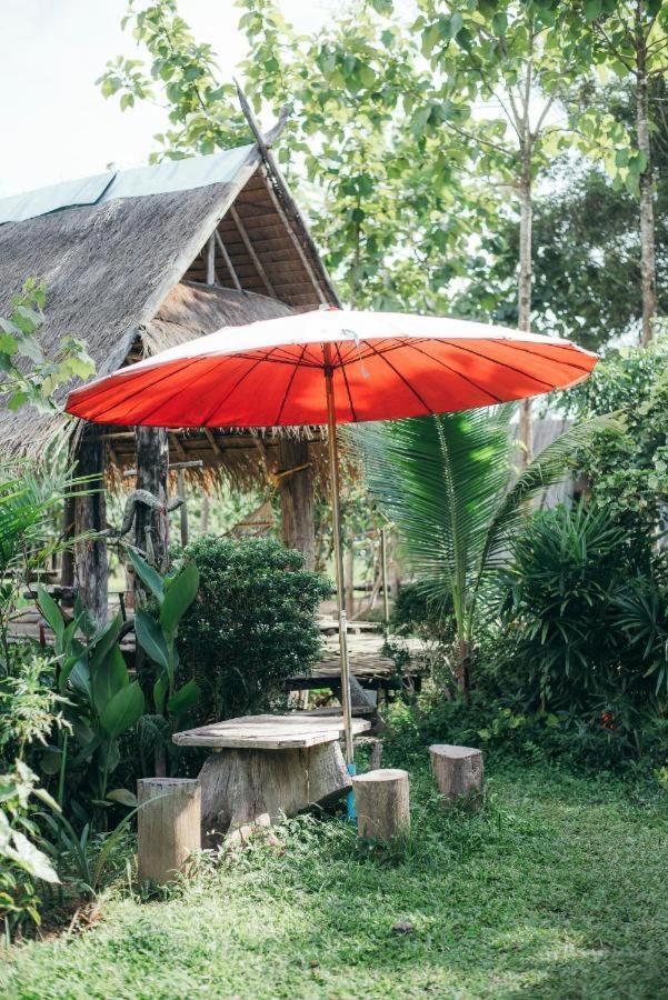 Camp View Mountain - Sell Experience By Paddy Fields Haven - Natures Nest Pai Luaran gambar