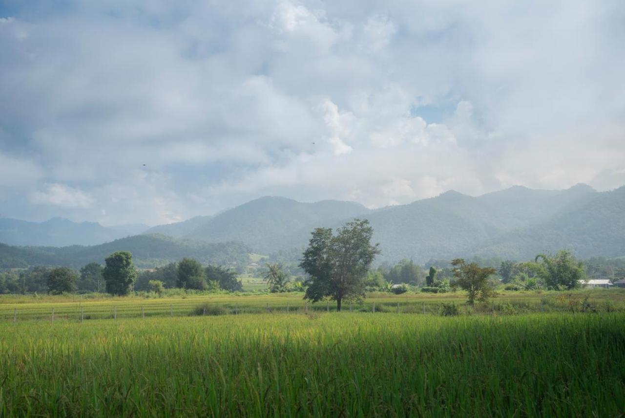 Camp View Mountain - Sell Experience By Paddy Fields Haven - Natures Nest Pai Luaran gambar