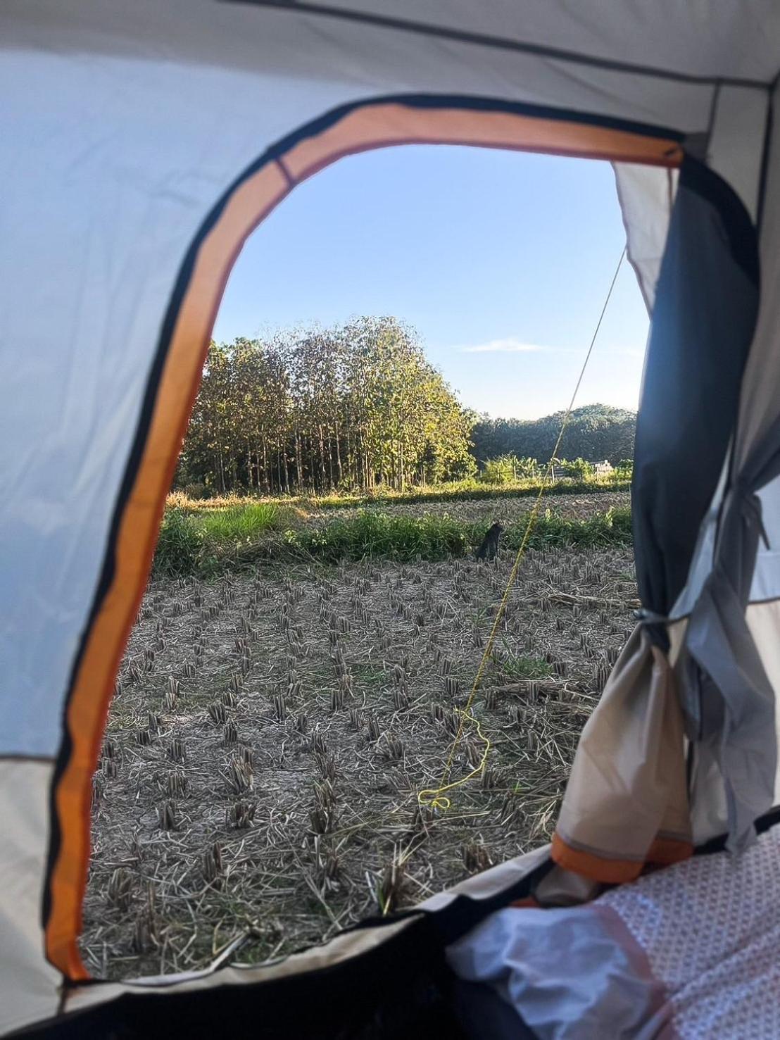 Camp View Mountain - Sell Experience By Paddy Fields Haven - Natures Nest Pai Luaran gambar