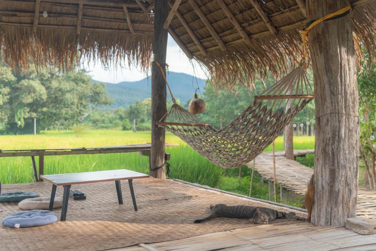 Camp View Mountain - Sell Experience By Paddy Fields Haven - Natures Nest Pai Luaran gambar